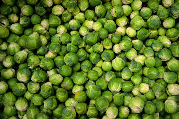 Easy Brussels Sprouts For Thanksgiving