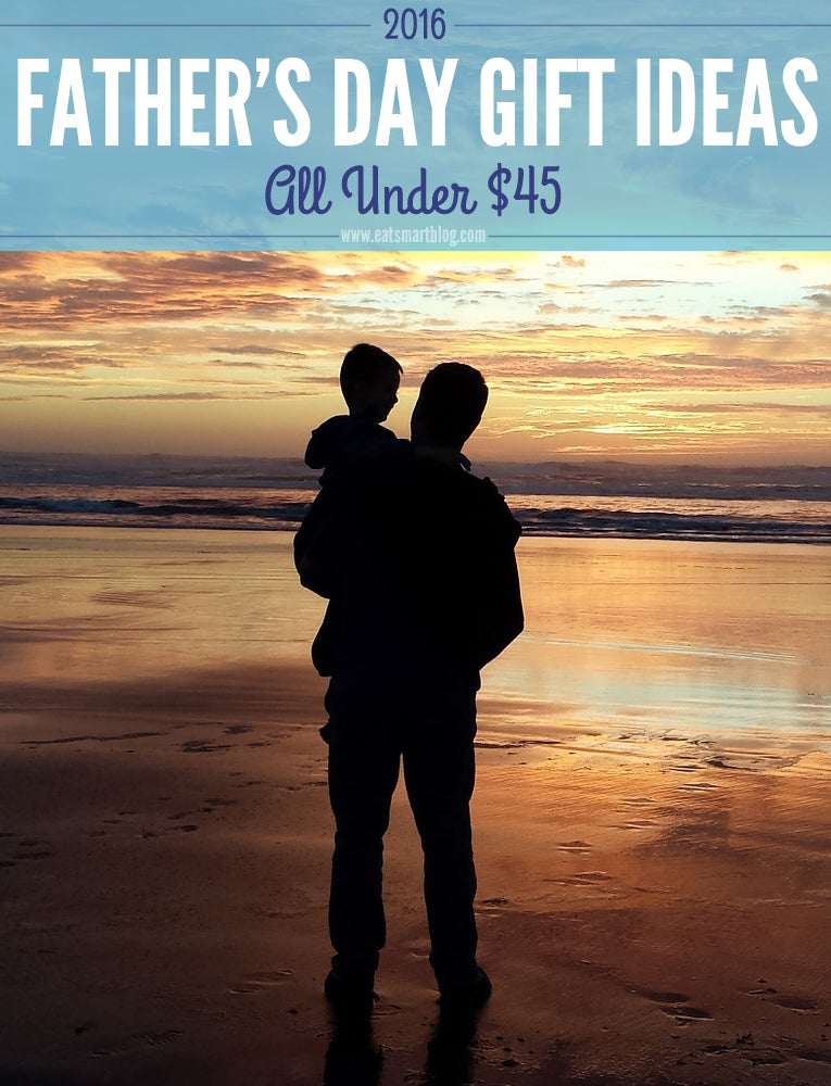 2016 Father’s Day Gift Ideas – All Under $45