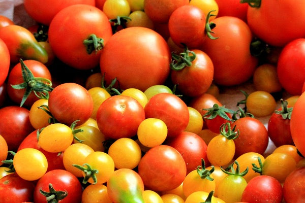 5 Benefits of Tomatoes and 10 Easy Recipe Ideas